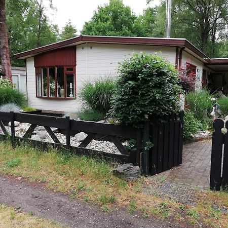 Sfeervol, Ruim En Luxe Chalet In Bosrijke Omgeving Villa Diessen Bagian luar foto